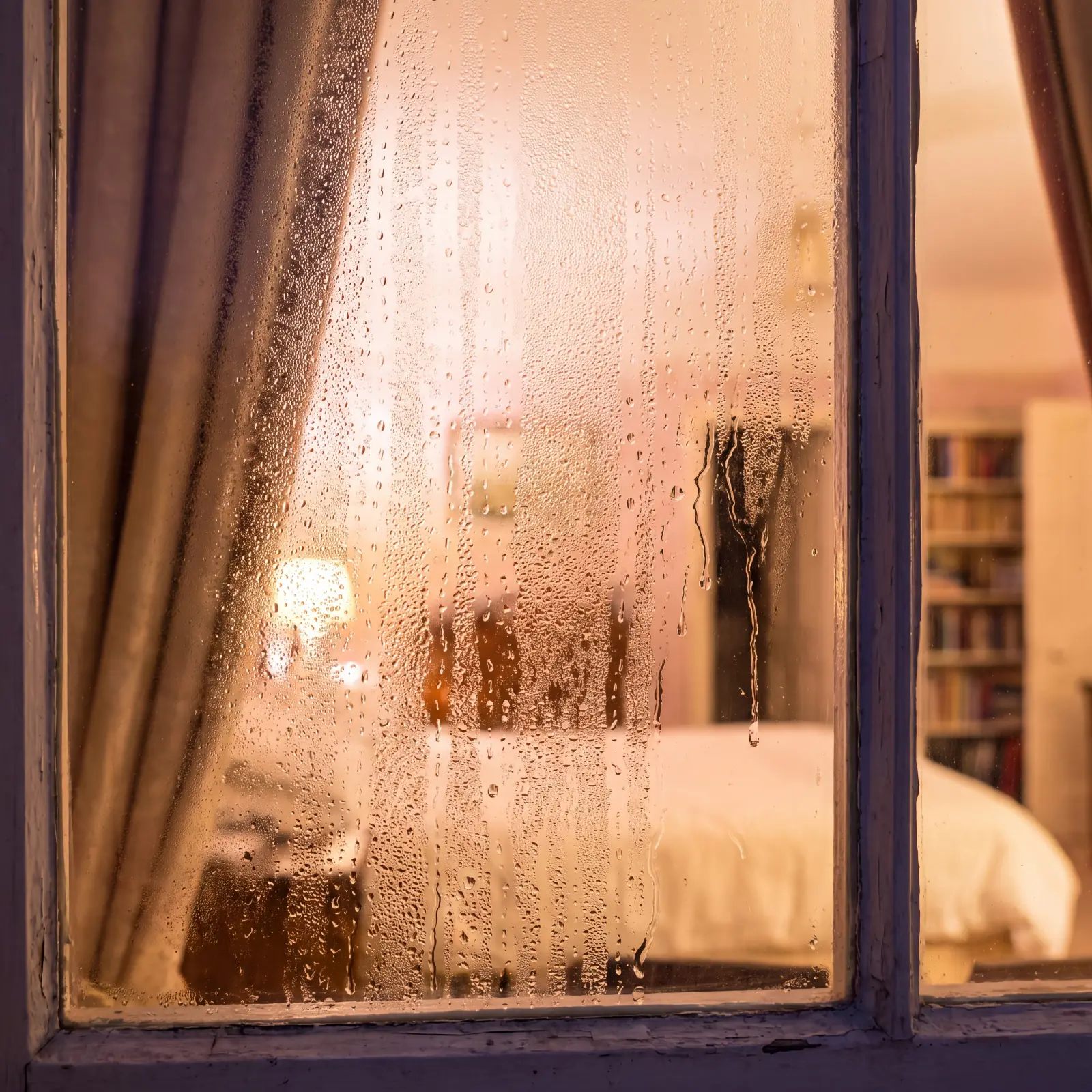 Condensation on Windows: Why It Happens and How to Stop It