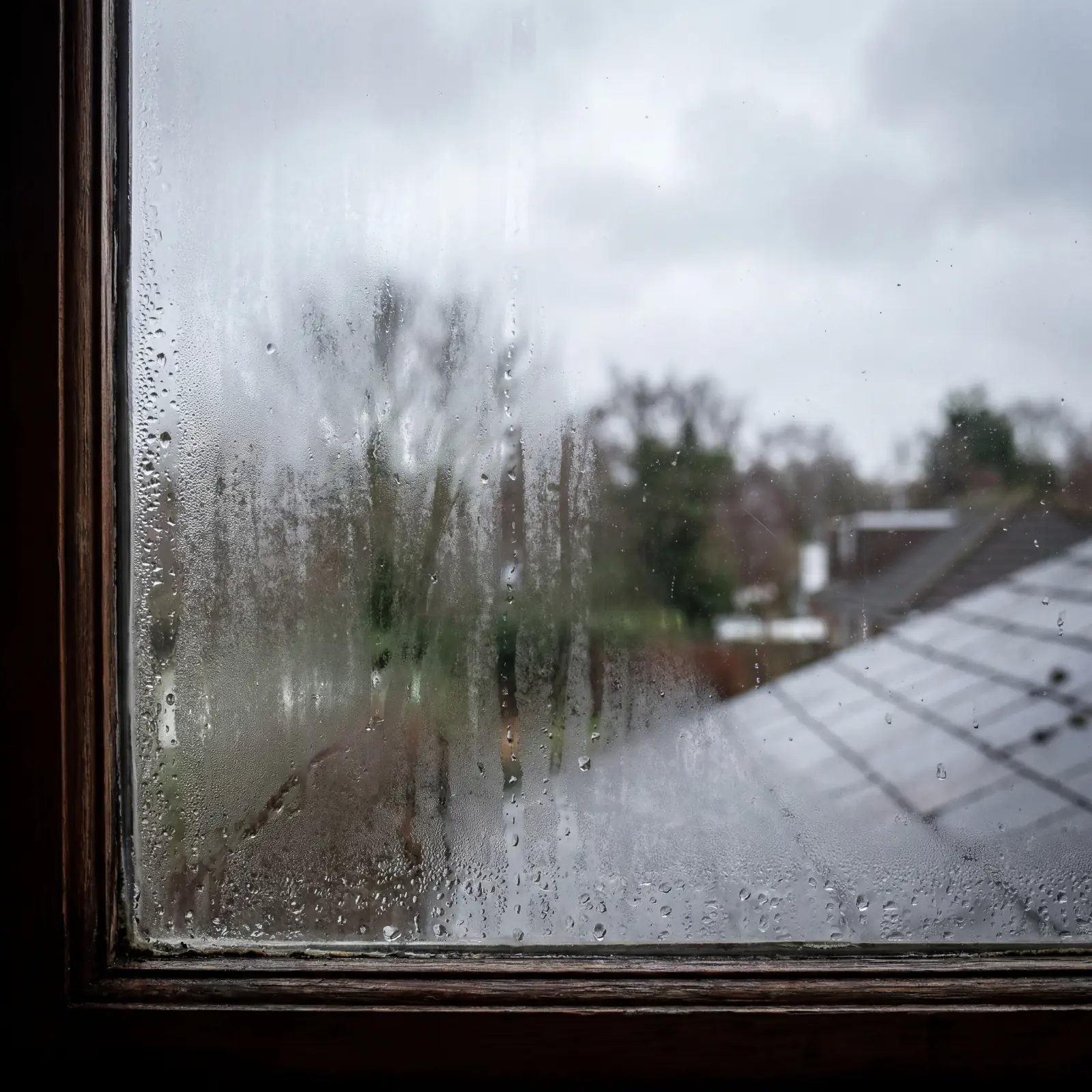 Misted Double Glazing: Why Windows Fog Up Between Panes and How to Fix It